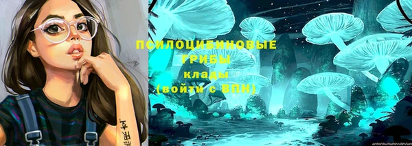 ECSTASY Аркадак